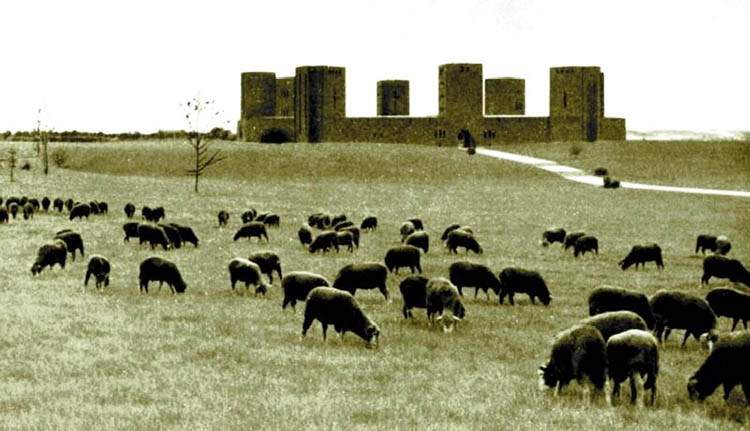 Tannenberg bitwa Hindenburg pomnik