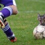 pilka nożna dowcipy o piłce nożnej humor kawały śmieszne obrazki memy futbol