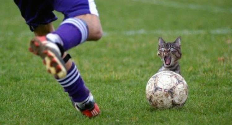 pilka nożna dowcipy o piłce nożnej humor kawały śmieszne obrazki memy futbol