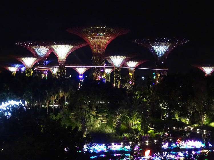 Gardens by the Bay Singapur