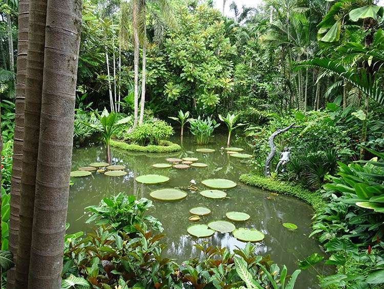 Singapore Botanic Gardens Singapur ciekawostki