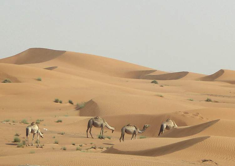 pustynia Ar-Rab al-Chali Półwysep Arabski
