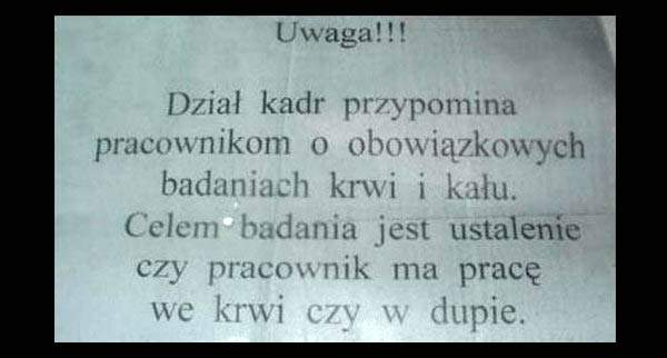 szef kawały memy humor biurowy śmieszne żarty o szefach
