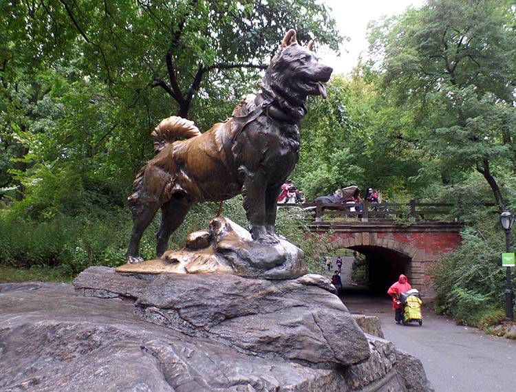 Central Park ciekawostki Nowy Jork