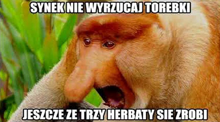 Janusz nosacz memy humor dowcipy Halina Seba Pieter Dżesika kawały