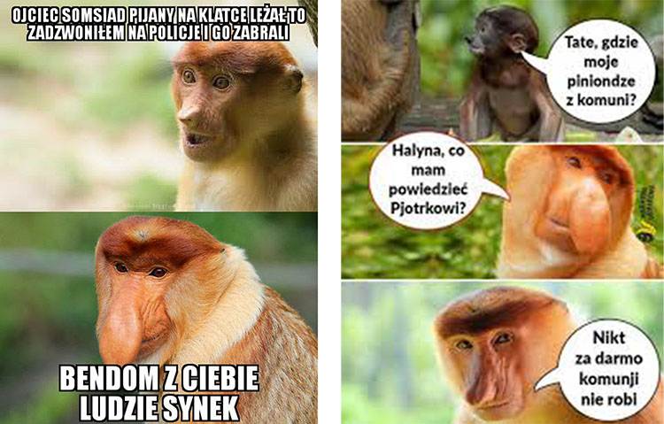 Janusz nosacz memy humor dowcipy Halina Seba Pieter Dżesika kawały
