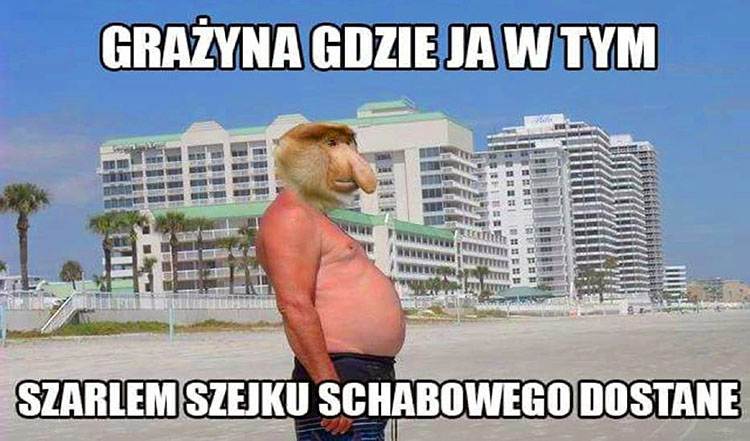 Janusz nosacz memy humor dowcipy Halina Seba Pieter Dżesika kawały