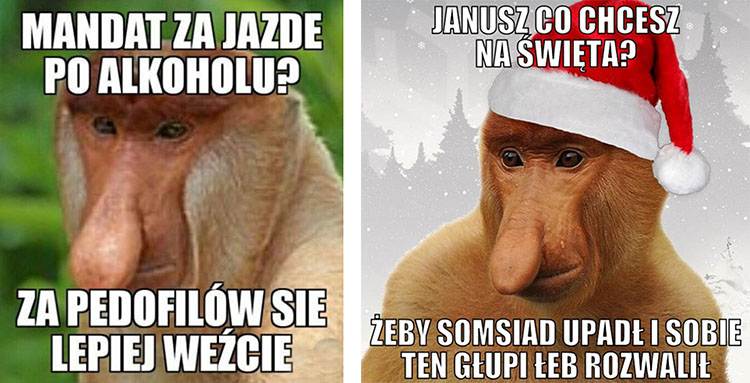 Janusz nosacz memy humor