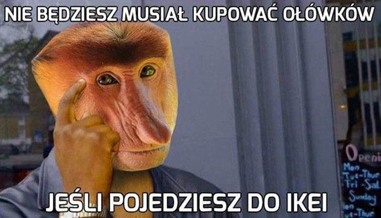 Janusz nosacz memy humor 
