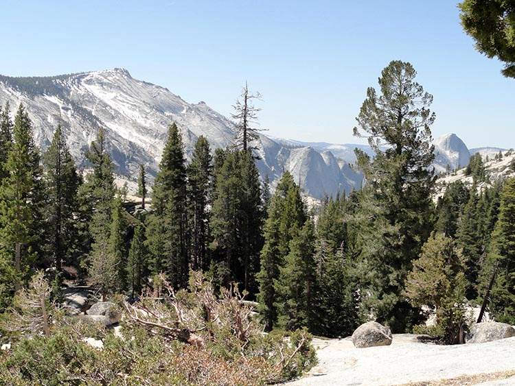 Olmsted Point Park Narodowy Yosemite Kalifornia USA