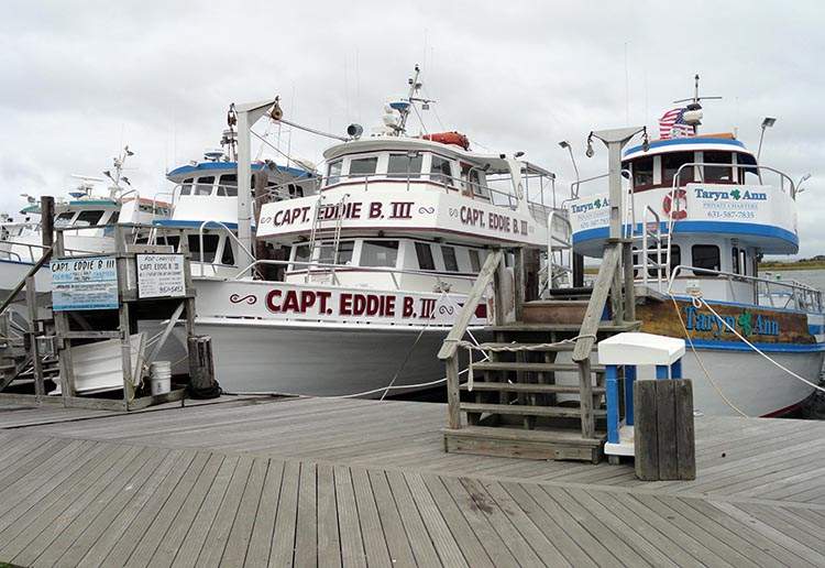 Longi Island ciekawostki Nowy Jork Robert Moses National Park NY marina