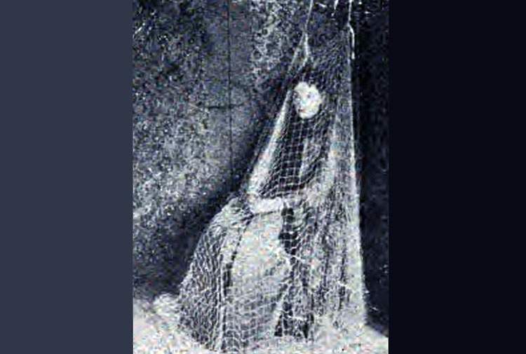 Madame d'Esperance Elisabeth Hope
