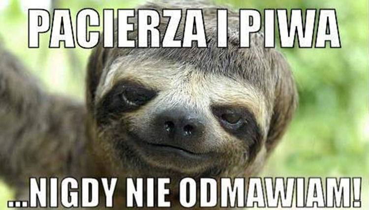 dowcipy o piwie piwo humor kawały piwne śmieszne memy
