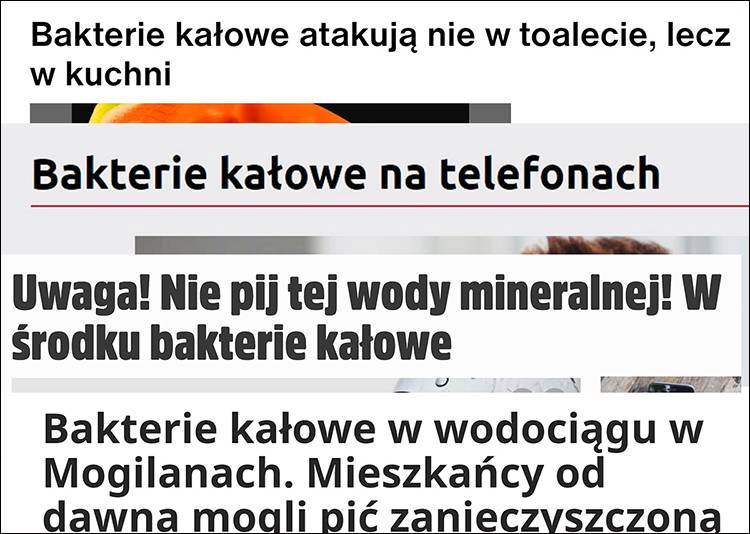 bakterie kałowe e coli paciorkowiec kałowy