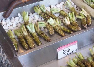 wasabi ciekawostki chrzan japoński