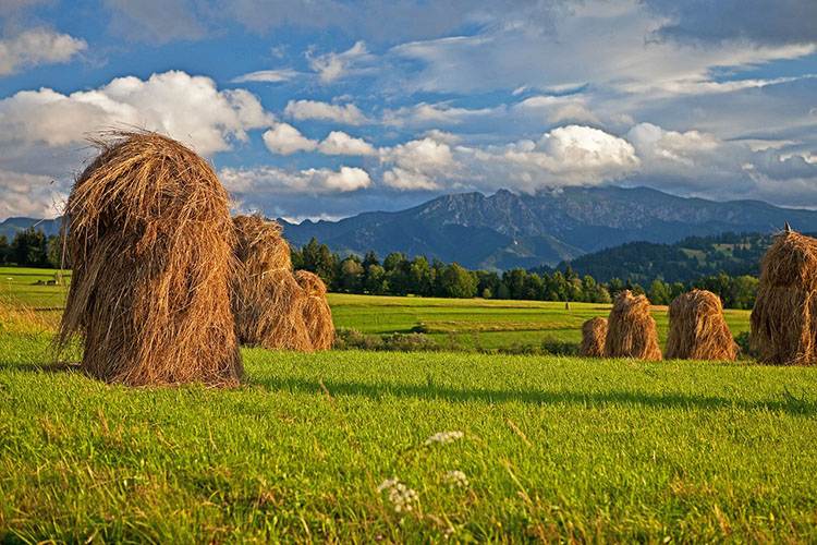 Tatry górale ciekawostki o góralach góry Podhale góral