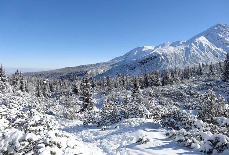 Tatry górale ciekawostki o góralach góry Podhale góral
