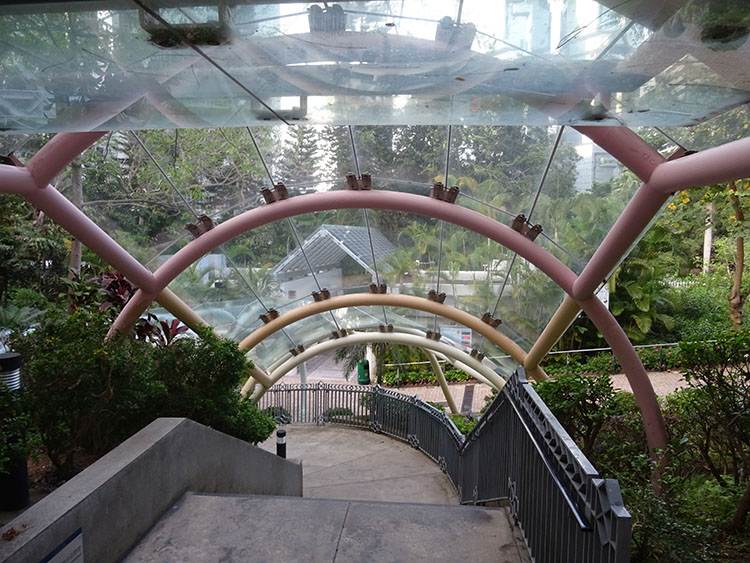 Hong Kong Park ślub za granicą w Hongkongu
