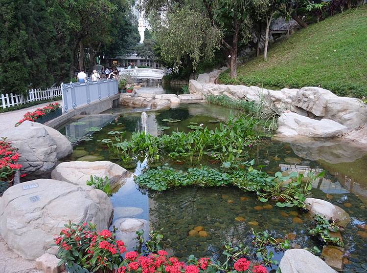 Hong Kong Park ślub za granicą w Hongkongu