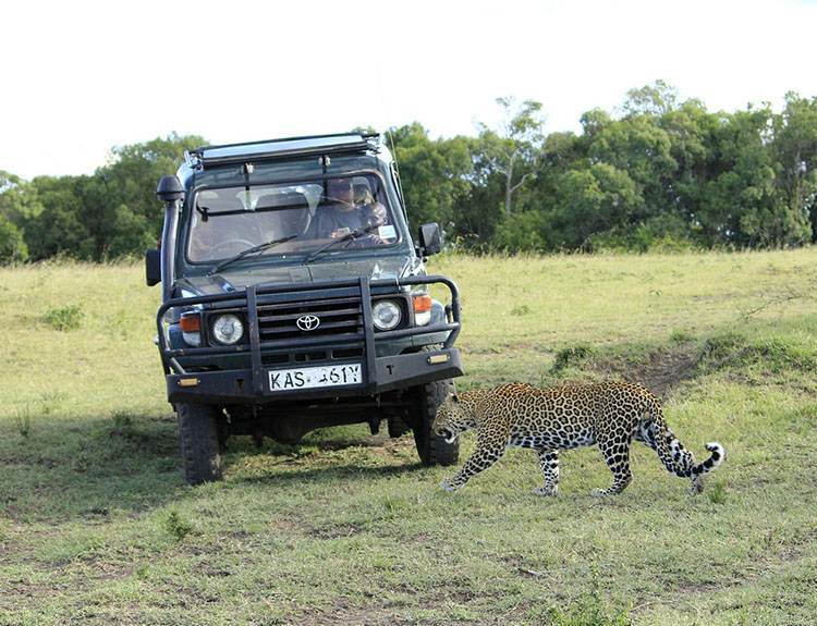 Masai Mara Park Narodowy Kenia Afryka atrakcje zwierzęta parki narodowe