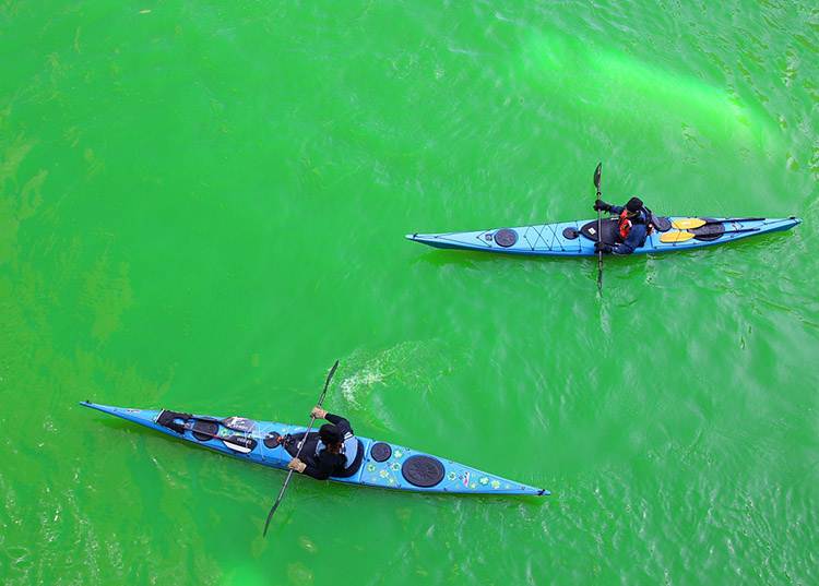 Chicago River zielona rzeka kajaki zieleń