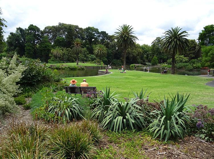 Royal Botanical Gardens Melbourne atrakcje ciekawostki Australia