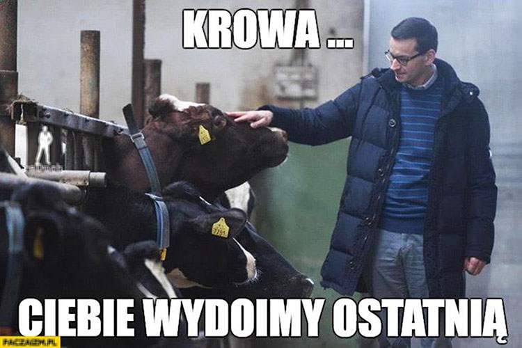 premier Mateusz Morawiecki memy humor dowcipy kawały
