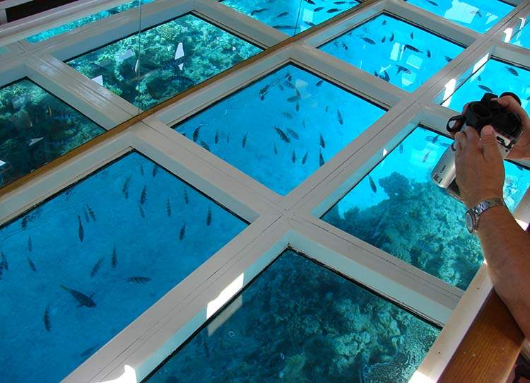 Szarm el Szejk ciekawostki-Sharm el Sheikh Egipt atrakcje rafy koralowe rejs