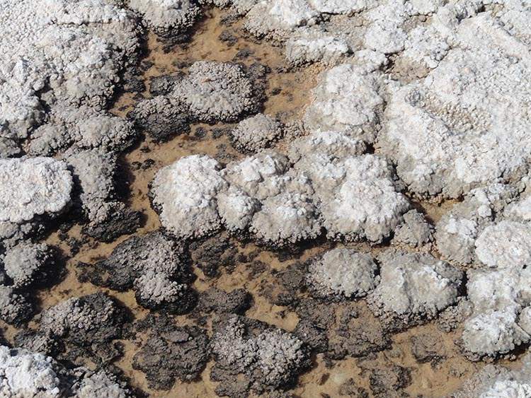 jezioro Kalifornia Dolina Śmierci Death Valley