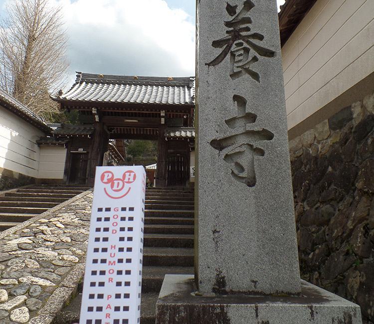 miasto Gujo Hachiman Japonia atrakcje Japan Wesoły Wieżowiec Happy Skyscraper