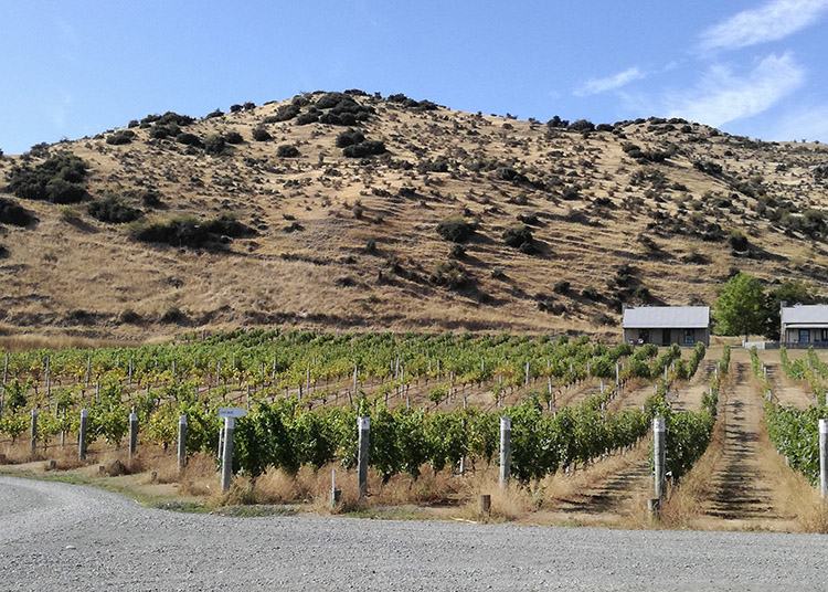 Hurunui Nowa Zelandia ciekawostki Canterbury