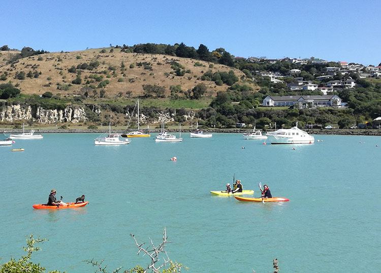 Oamaru Nowa Zelandia ciekawostki