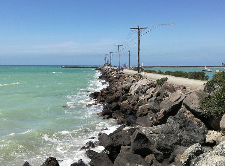 Oamaru Nowa Zelandia ciekawostki