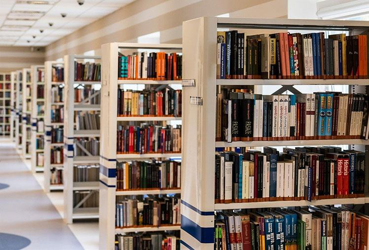 biblioteka książka ciekawostki o książkach książki