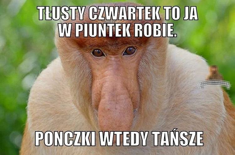 pączek Tłusty Czwartek memy pączki humor śmieszne obrazki