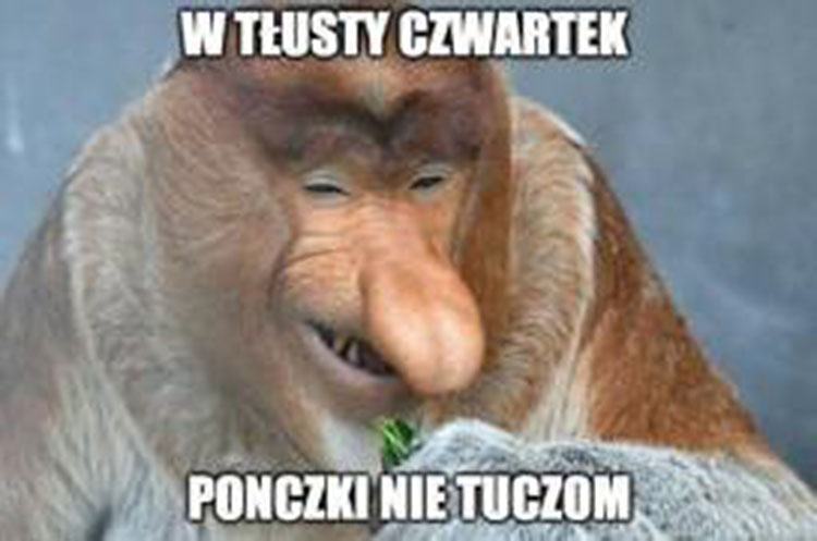pączek Tłusty Czwartek memy pączki humor śmieszne obrazki