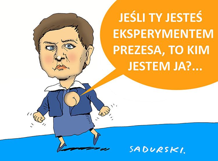 premier Beata Szydło satyra humor dowcipy rząd PiS Prawo i Sprawiedliwość