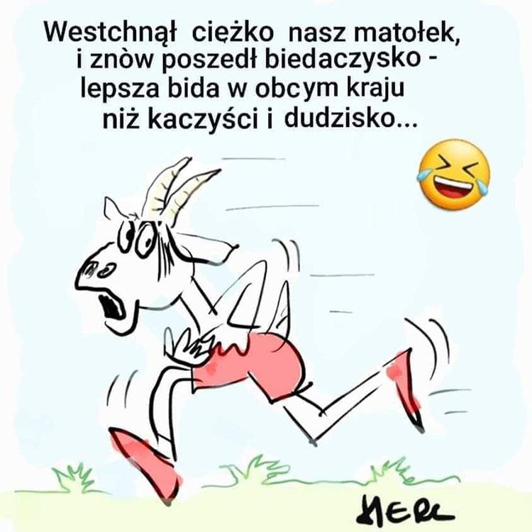 śmieszne memy polityczne PiS wybory Duda humor polityczny satyra rysunki Polska rząd koziołek Matołek Kaczyński Duda