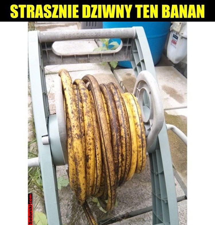 banany mem banan memy o bananach humor śmieszne obrazki