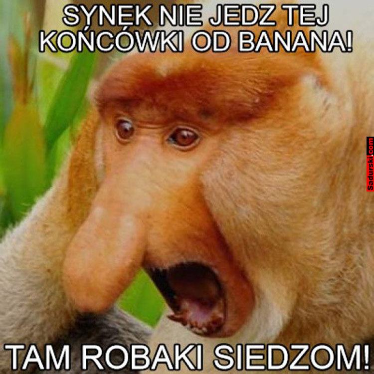 banany mem banan memy o bananach humor śmieszne obrazki