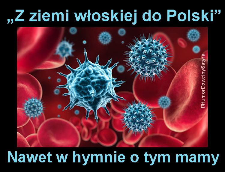koronawirus memy o koronawirusie epidemia obrazki humor