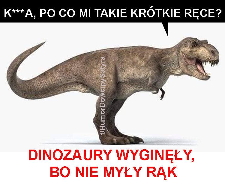 koronawirus memy o koronawirusie epidemia obrazki humor