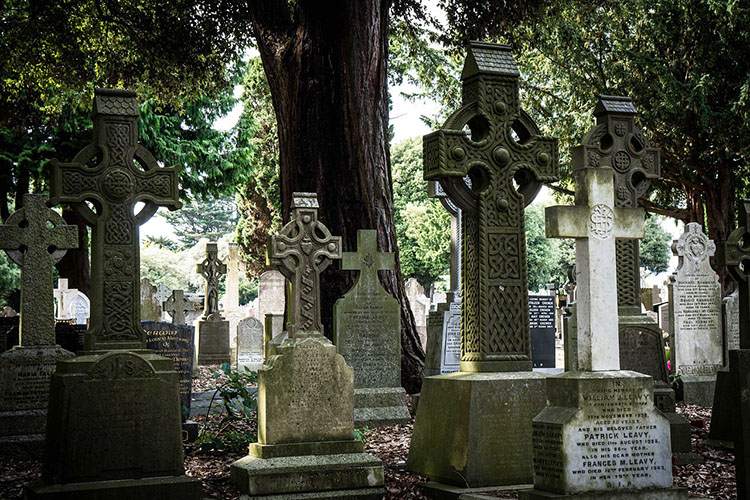 Dublin Irlandia cmentarz historia nekropolie groby nagrobki