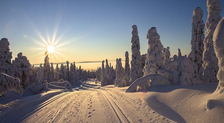 śnieg zima w Laponii śnieg krajobraz zima atrakcje