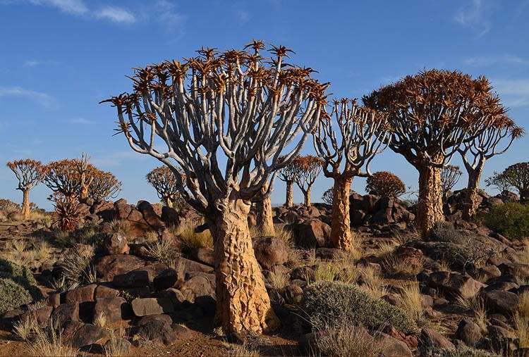 Namibia ciekawostki atrakcje Afryka