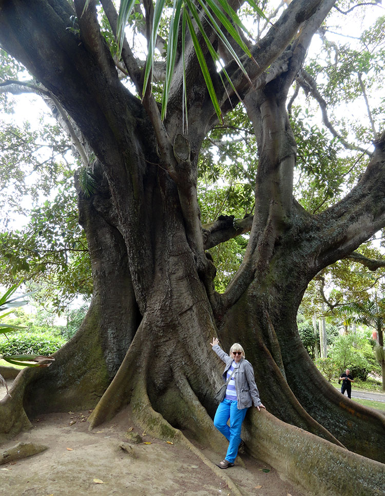 park jardim Borges Ponta Delgada ciekawostki Sao Miguel Azory atrakcje