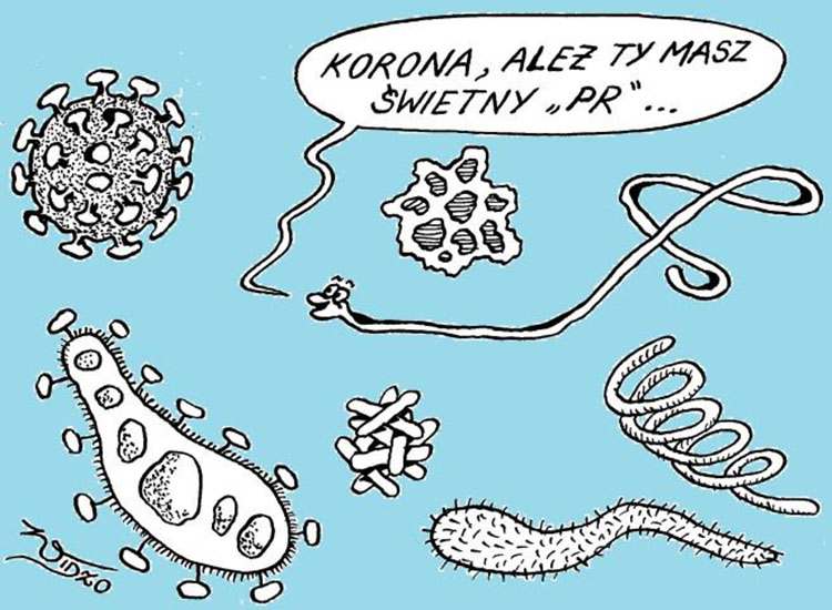 koronawirus rysunki covid-19 humor satyra pandemia dowcipy