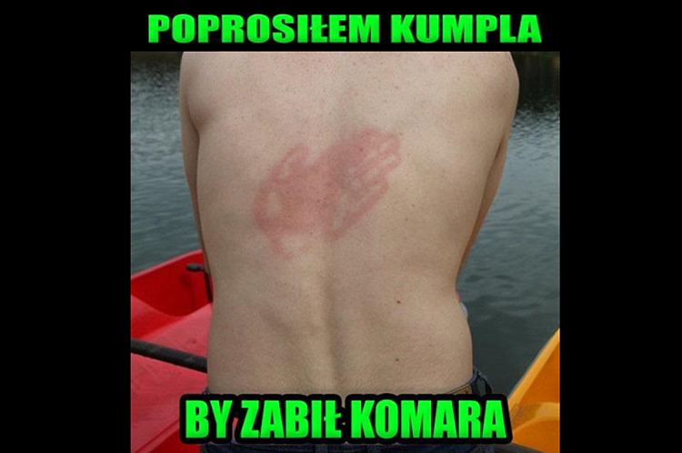 mem o komarze