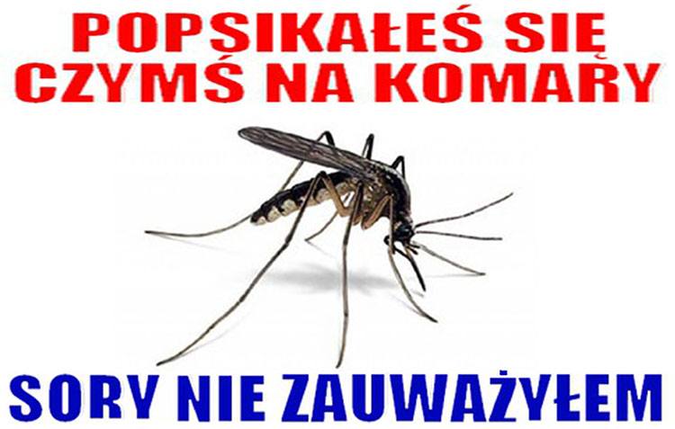 komar memy komary śmieszne obrazki humor