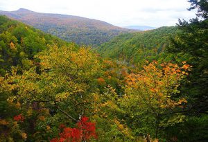 Catskill Mountains Nowy Jork góry